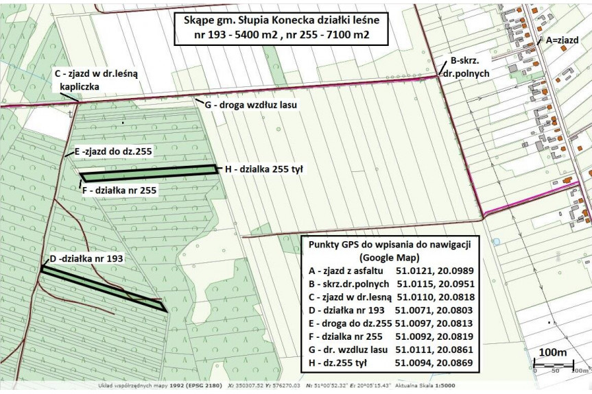 konecki, Słupia (Konecka), Skąpe, Tania dzialka leśna 7100m2 (0,71ha) tylko 21900zł